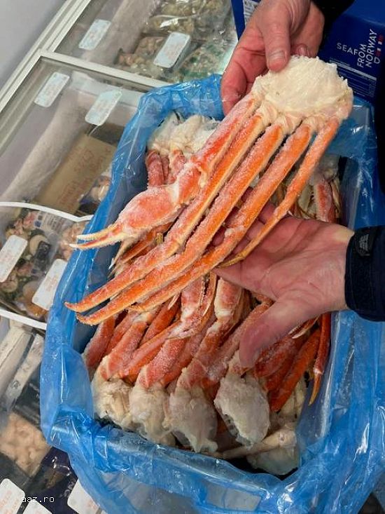 Frozen Fresh Lobsters Wholesale / Frozen Fresh Lobsters