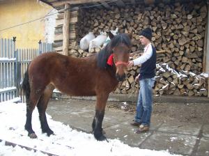 Vand 2 manze rasa semigreu