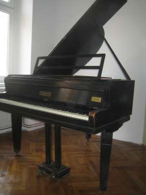 PIAN de CONCERT cu coada scurta