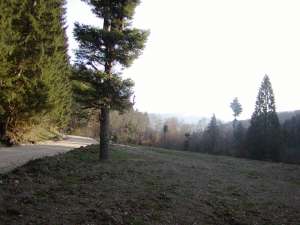 teren proiect casa ecologica