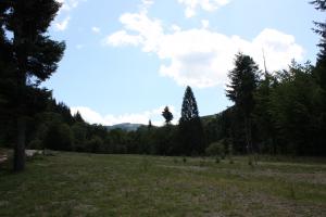 teren proiect casa ecologica