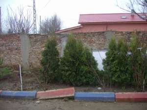 vand arbusti