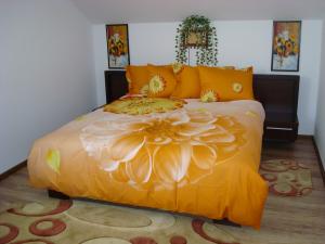 pensunea vila doua rate