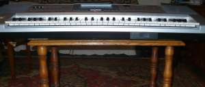 Vand korg Pa 50 SD Profesional
