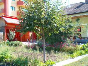 Campia Turzii-urgent casa de vanzare