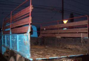 Transport moloz,  marfa,  mobila noua si veche