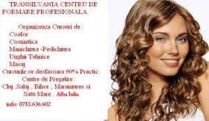 cursuri de calificare in bihor