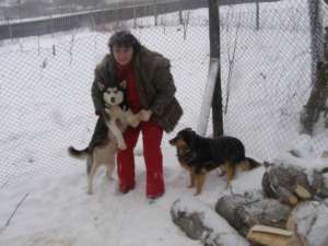 vand pui husky
