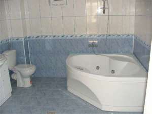 zugrav faiantar particular