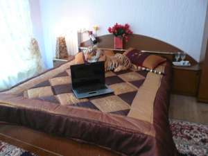 Long term rent house on Cimbrului 4/1