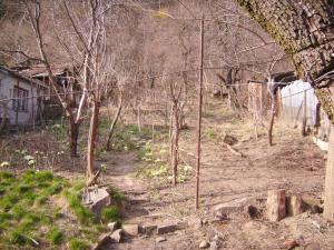 Vand casa cu curte si gradina
