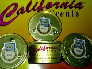 CALIFORNIA SCENTS ODORIZANTE CASA