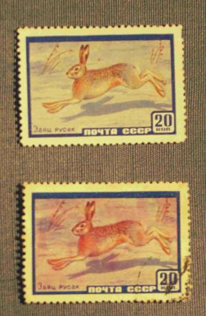 timbre foarte rare