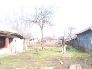 CASA  DE  VINZARE DRAGANESTI-VLASCA
