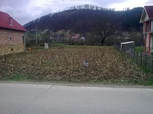 vand teren pentru constructii in localitatea NEPOS
