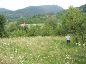 teren intravilam baia mare