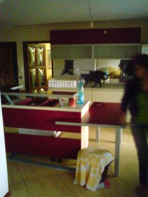 bar de living