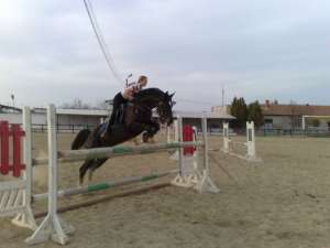 caii de vanzare