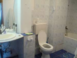 HORTENSIEI 4 CAMERE MOBILAT UTILAT LUX