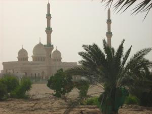 caut solista pt contract Dubai