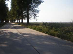 VAND TEREN IN DASCALU