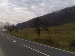 Teren intravilan langa SOVATA 36 557 mp
