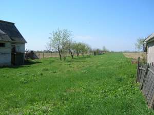 Vand teren 5800 mp cu casa nefinalizata