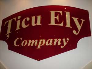 Agentia imobiliara Ticu Ely Company