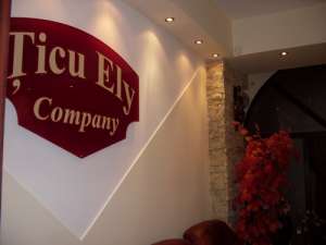 Agentia imobiliara Ticu Ely Company
