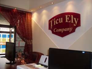 Agentia imobiliara Ticu Ely Company