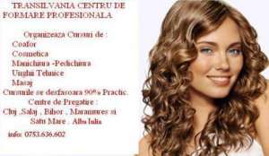 cursuri de cosmetica,    manichiura pedichiura,    masaj
