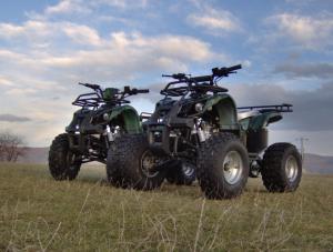 ATV 110 ccm MEGA GRIZLI XXL automatic cu marsalier