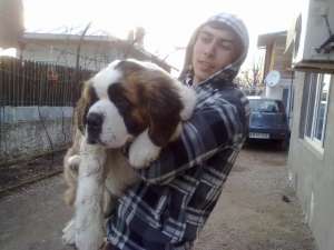 Vand saint bernard