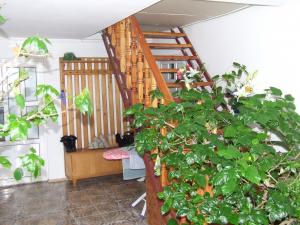 VAND CASA VALENII DE MUNTE PRAHOVA