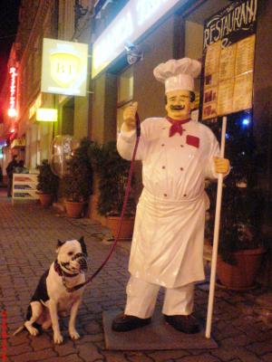 OFER P. MONTA CAINE AMSTAFF