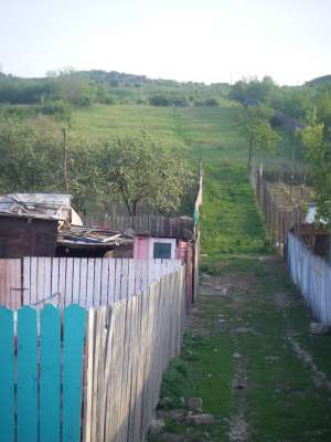 vand teren tomesti
