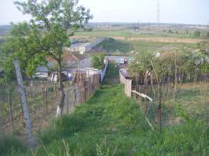 vand teren tomesti