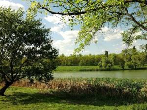 Balta de vanzare,    14 hectare,    jud Giurgiu