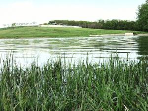 Balta de vanzare,    14 hectare,    jud Giurgiu