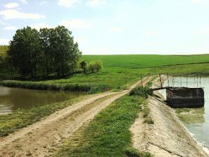 Balta de vanzare,    14 hectare,    jud Giurgiu