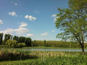 Balta de vanzare,    14 hectare,    jud Giurgiu