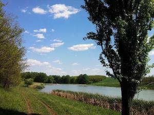 Balta de vanzare,    14 hectare,    jud Giurgiu