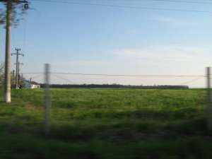 36 hectare langa orasul Giurgiu