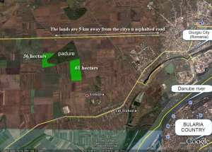 36 hectare langa orasul Giurgiu