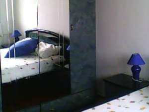 INCHIRIERE 2 CANERE TITAN BILA LUX