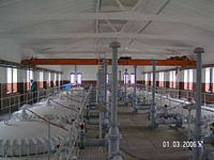 Grafo Term Controlul Condensului