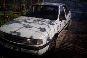 VECTA B