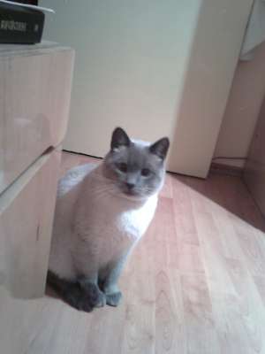 DONATIE