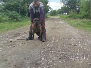 vand presa canario