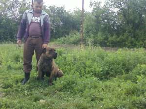 vand presa canario